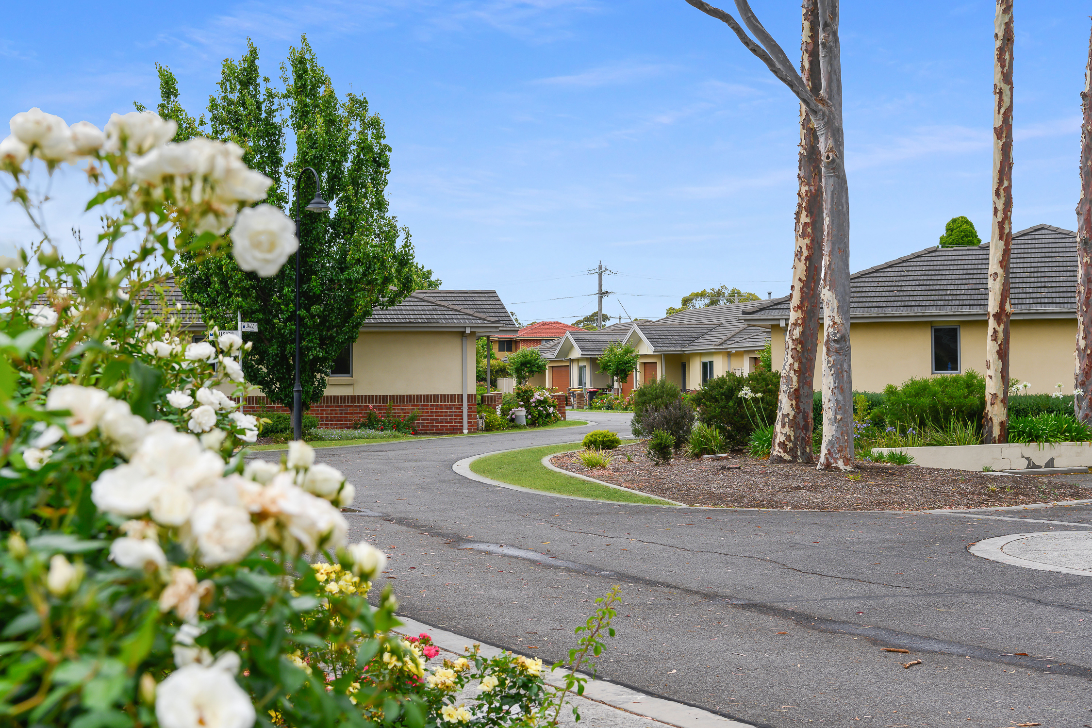 Corpus Christi Clayton