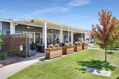 Shanagolden Pakenham